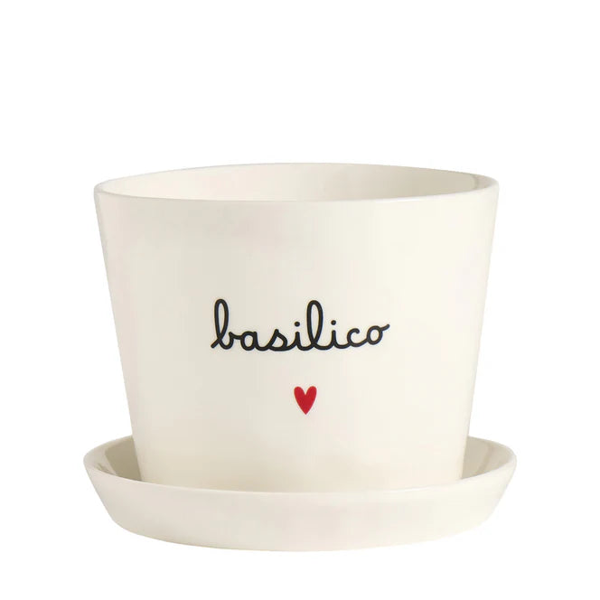 Vaso Basilico Cuore, con sottovaso