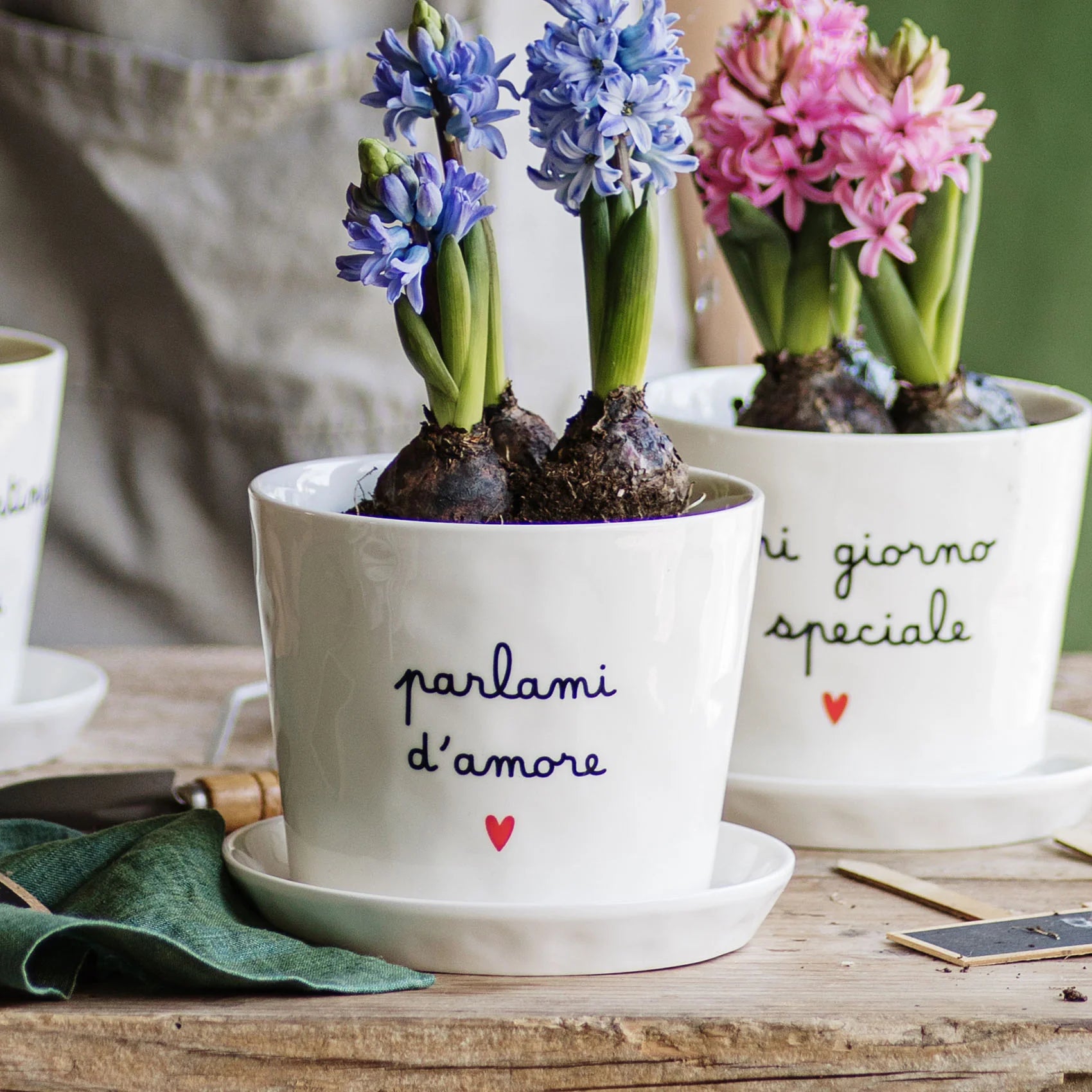 Vaso Parlami d'amore, con sottovaso