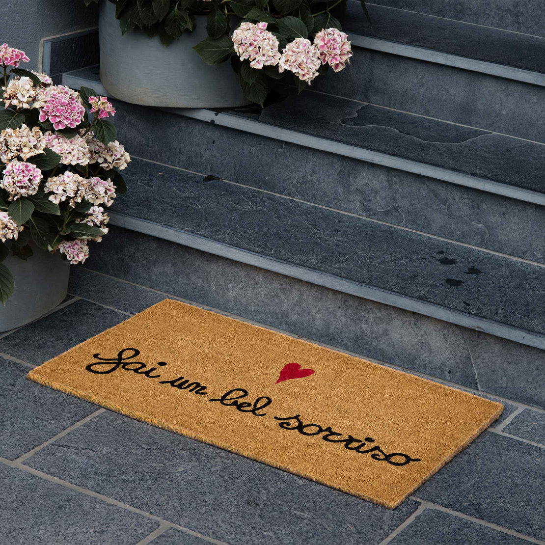 Zerbino Fai un bel sorriso