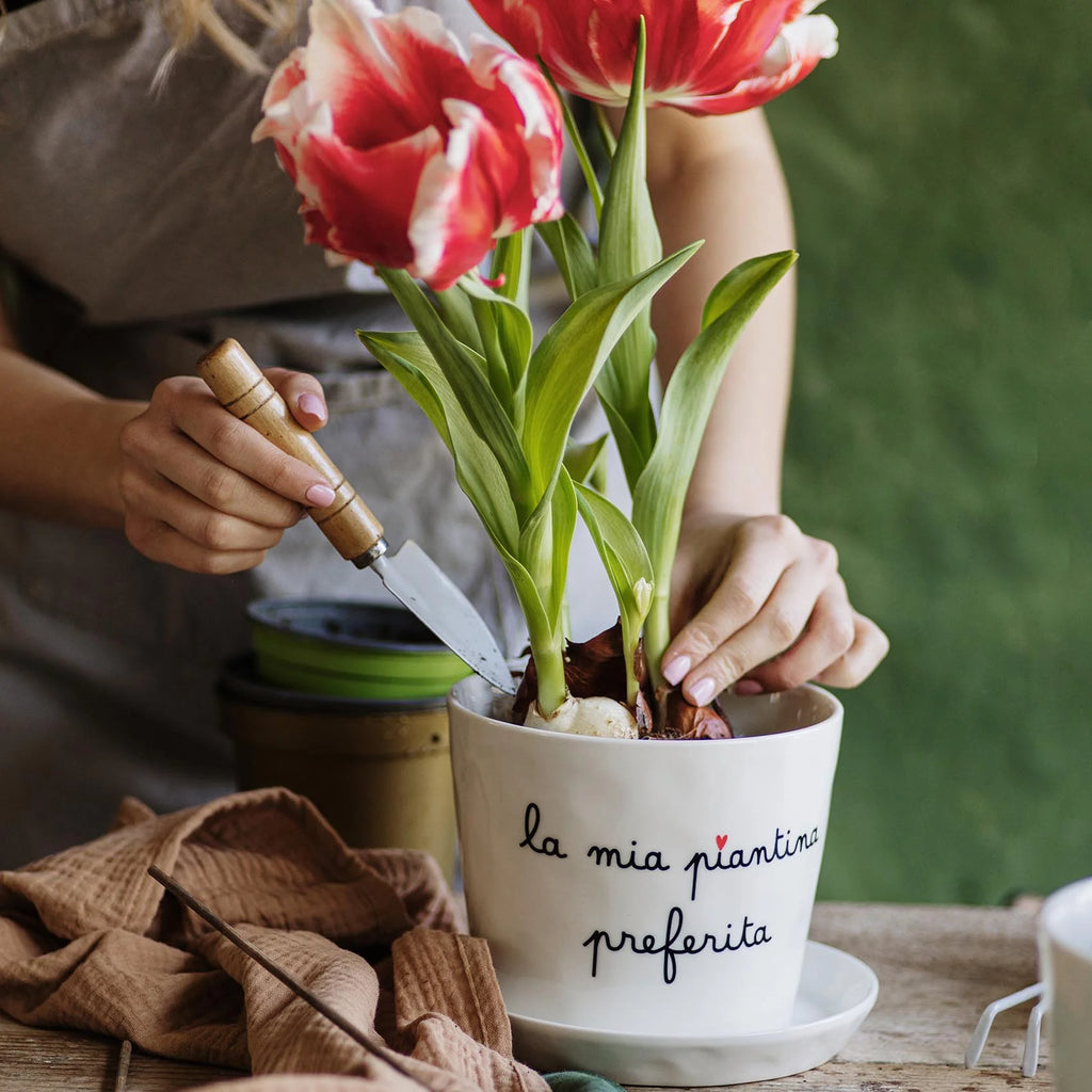 Vaso La mia piantina preferita, con sottovaso