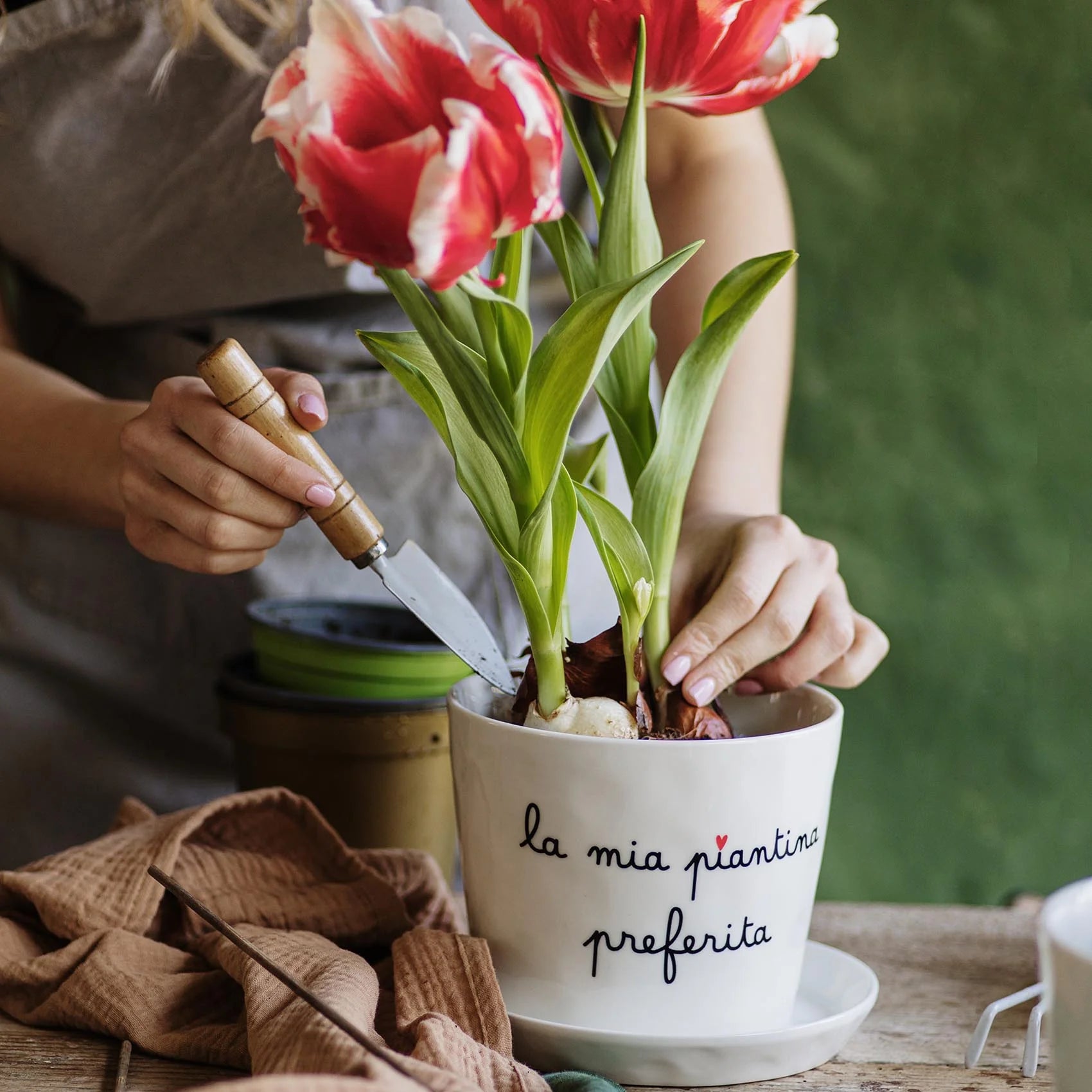Vaso La mia piantina preferita, con sottovaso