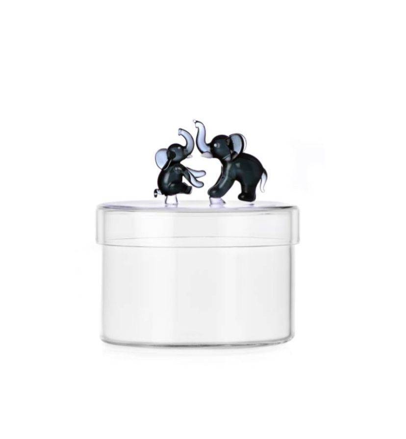 Scatola famiglia elefanti