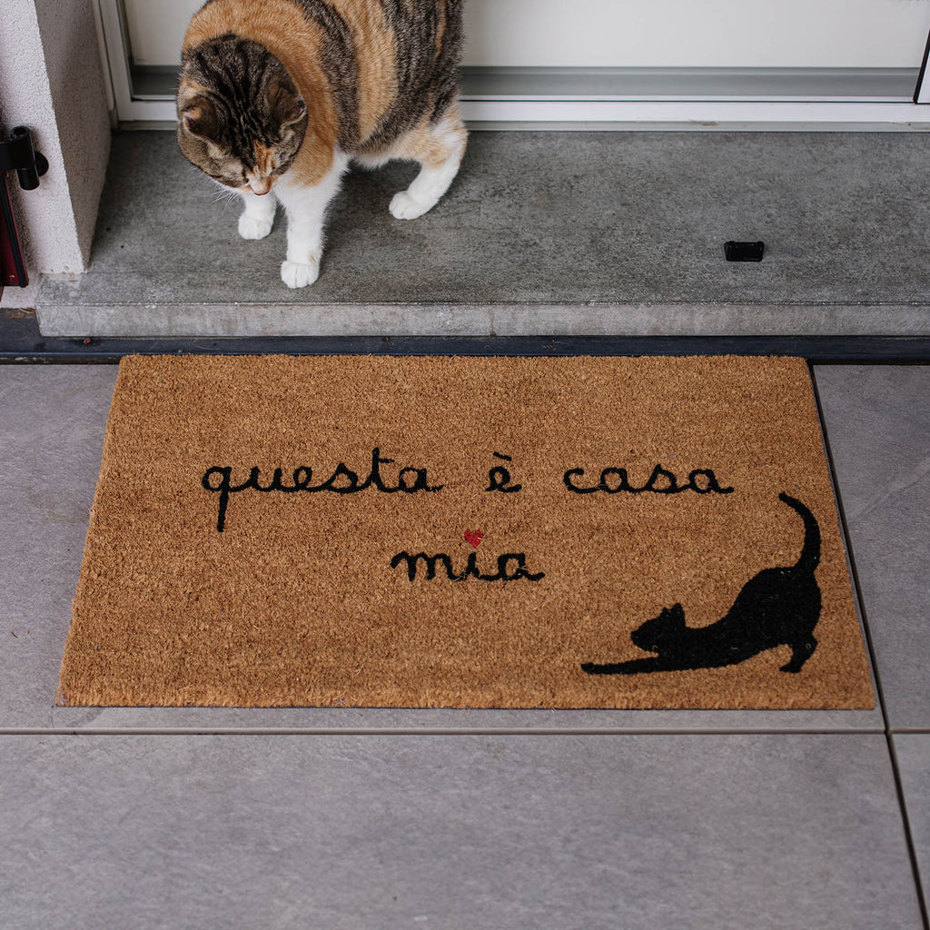 Zerbino Questa è casa mia gatto