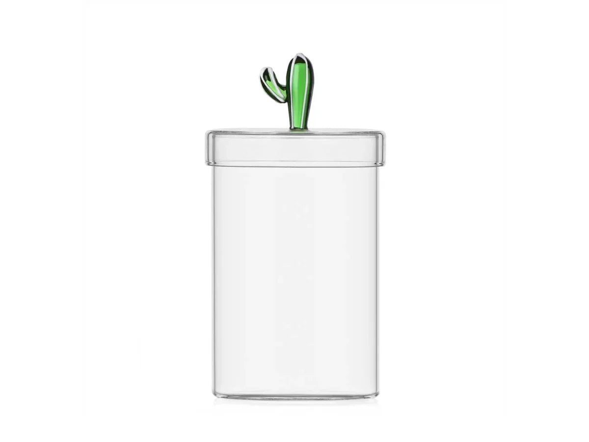 Scatola Cactus Verde Ichendorf