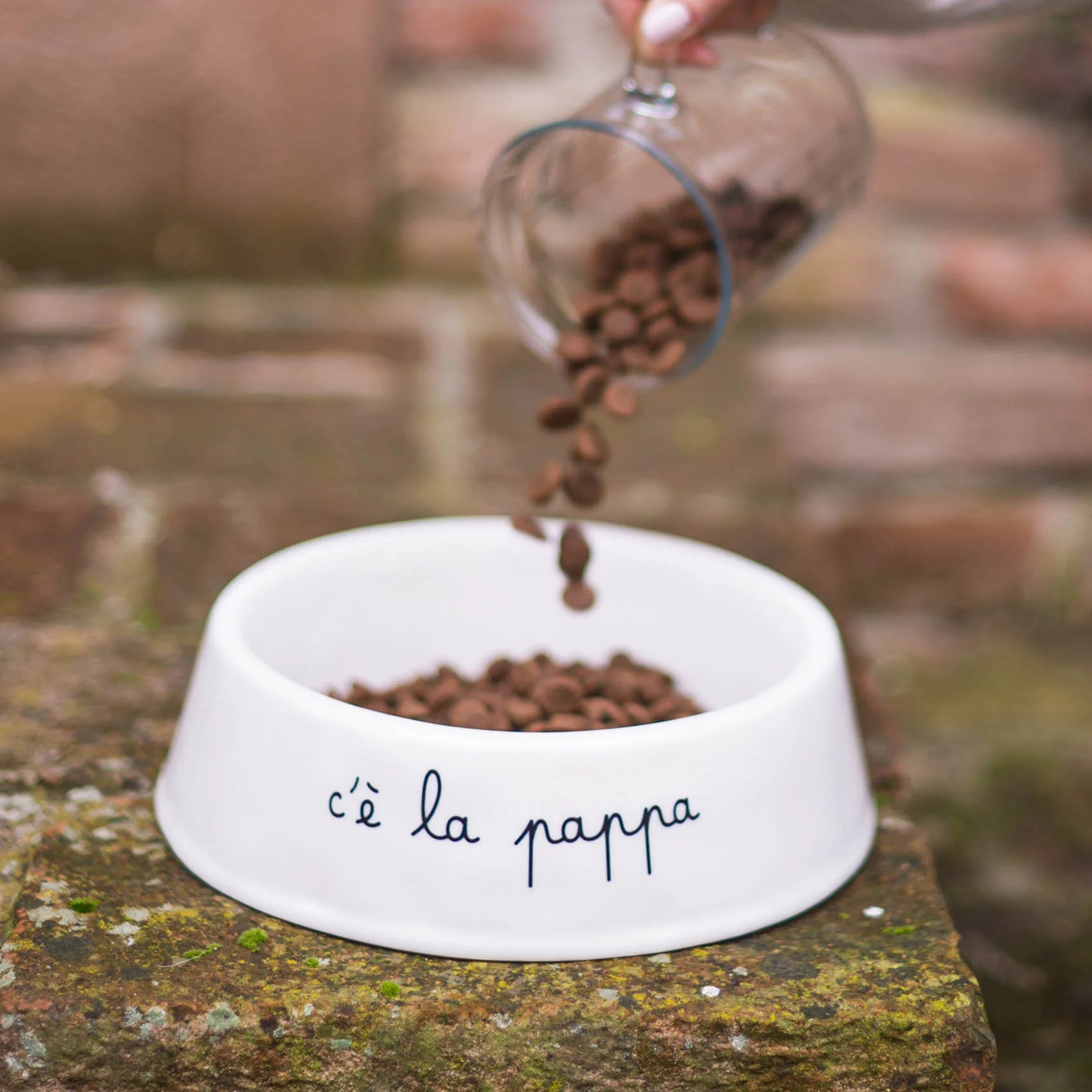 CIOTOLA PAPPA  L