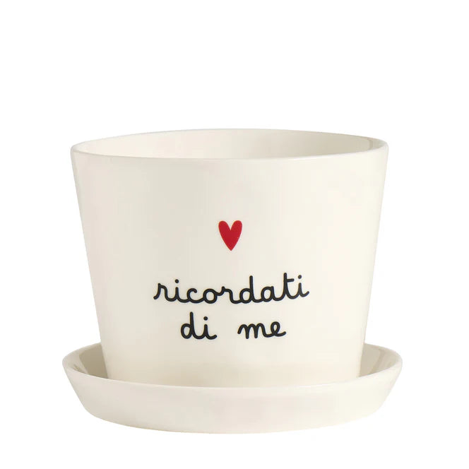 Vaso Ricordati di me, con sottovaso